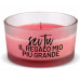 CANDELA DECAL 100GR BULGARIAN ROSE (32pz)